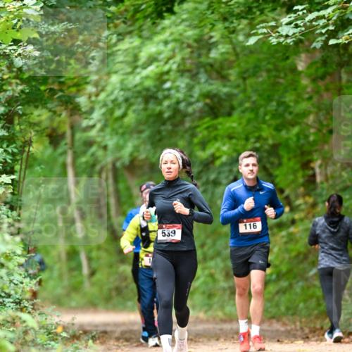 11.10.2026 - Bramfelder Halbmarathon 2026 Dr. Thomas Lammeyer http://msf.ph/oto/10826066 11.10.2026 10:53:22 Laufen 539, 116 meine-sportfotos.de