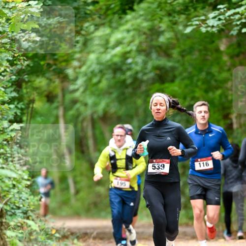 11.10.2026 - Bramfelder Halbmarathon 2026 Dr. Thomas Lammeyer http://msf.ph/oto/10826073 11.10.2026 10:53:24 Laufen 195, 539, 116 meine-sportfotos.de