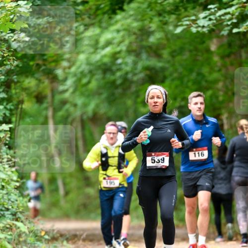 11.10.2026 - Bramfelder Halbmarathon 2026 Dr. Thomas Lammeyer http://msf.ph/oto/10826074 11.10.2026 10:53:24 Laufen 195, 539, 116 meine-sportfotos.de