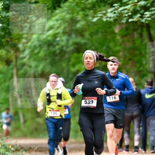 11.10.2026 - Bramfelder Halbmarathon 2026 Dr. Thomas Lammeyer http://msf.ph/oto/10826078 11.10.2026 10:53:24 Laufen 195, 539, 116 meine-sportfotos.de