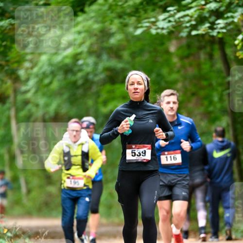11.10.2026 - Bramfelder Halbmarathon 2026 Dr. Thomas Lammeyer http://msf.ph/oto/10826079 11.10.2026 10:53:24 Laufen 195, 539, 116 meine-sportfotos.de