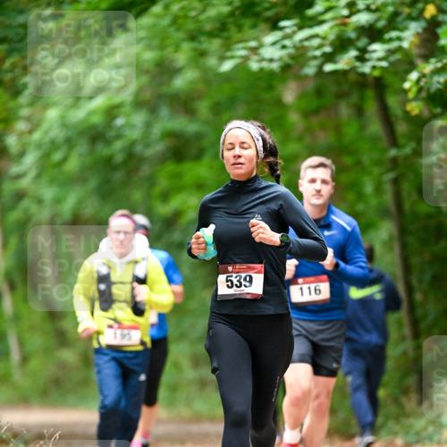 11.10.2026 - Bramfelder Halbmarathon 2026 Dr. Thomas Lammeyer http://msf.ph/oto/10826082 11.10.2026 10:53:25 Laufen 195, 539, 116 meine-sportfotos.de