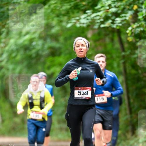 11.10.2026 - Bramfelder Halbmarathon 2026 Dr. Thomas Lammeyer http://msf.ph/oto/10826084 11.10.2026 10:53:25 Laufen 1915, 539, 116 meine-sportfotos.de