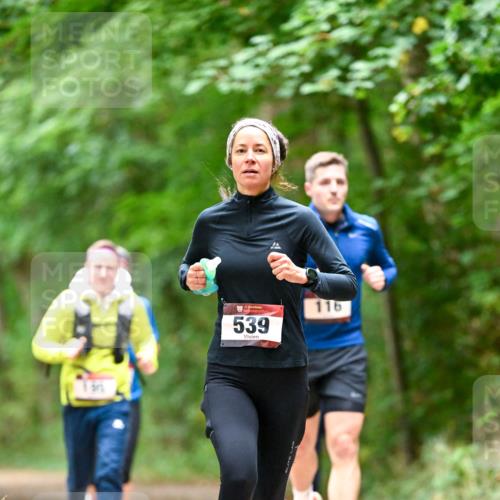 11.10.2026 - Bramfelder Halbmarathon 2026 Dr. Thomas Lammeyer http://msf.ph/oto/10826086 11.10.2026 10:53:25 Laufen 35, 539, 116 meine-sportfotos.de