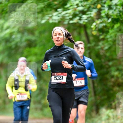 11.10.2026 - Bramfelder Halbmarathon 2026 Dr. Thomas Lammeyer http://msf.ph/oto/10826087 11.10.2026 10:53:25 Laufen 35, 539, 116 meine-sportfotos.de