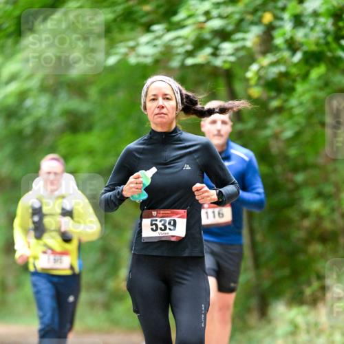11.10.2026 - Bramfelder Halbmarathon 2026 Dr. Thomas Lammeyer http://msf.ph/oto/10826088 11.10.2026 10:53:26 Laufen 539, 116 meine-sportfotos.de