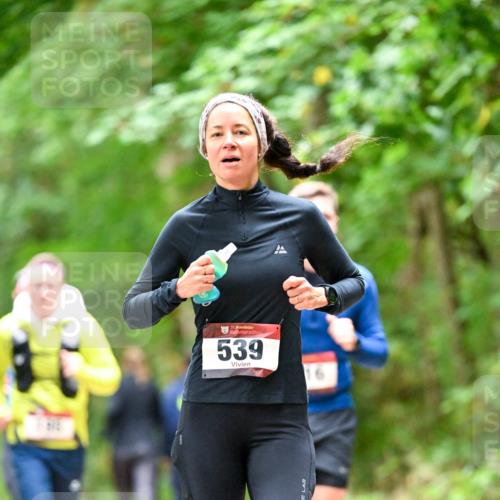 11.10.2026 - Bramfelder Halbmarathon 2026 Dr. Thomas Lammeyer http://msf.ph/oto/10826093 11.10.2026 10:53:26 Laufen 539 meine-sportfotos.de