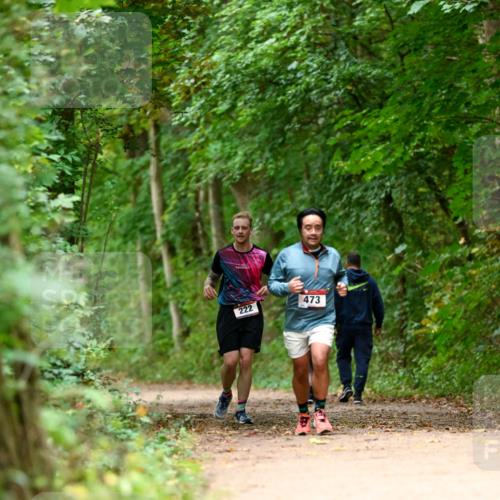 11.10.2026 - Bramfelder Halbmarathon 2026 Dr. Thomas Lammeyer http://msf.ph/oto/10826115 11.10.2026 10:53:35 Laufen 222, 473 meine-sportfotos.de