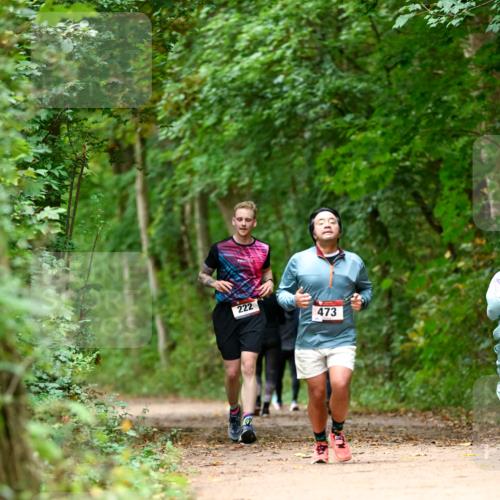11.10.2026 - Bramfelder Halbmarathon 2026 Dr. Thomas Lammeyer http://msf.ph/oto/10826125 11.10.2026 10:53:36 Laufen 222, 473 meine-sportfotos.de