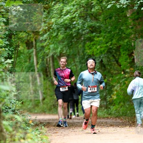 11.10.2026 - Bramfelder Halbmarathon 2026 Dr. Thomas Lammeyer http://msf.ph/oto/10826127 11.10.2026 10:53:37 Laufen 222, 473 meine-sportfotos.de