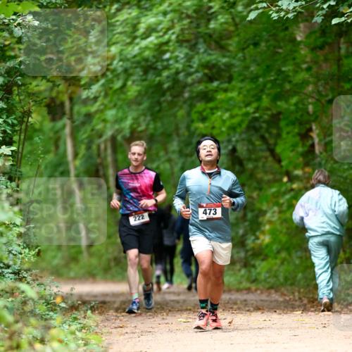11.10.2026 - Bramfelder Halbmarathon 2026 Dr. Thomas Lammeyer http://msf.ph/oto/10826128 11.10.2026 10:53:37 Laufen 222, 473 meine-sportfotos.de