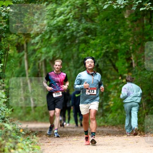11.10.2026 - Bramfelder Halbmarathon 2026 Dr. Thomas Lammeyer http://msf.ph/oto/10826131 11.10.2026 10:53:37 Laufen 222, 473 meine-sportfotos.de
