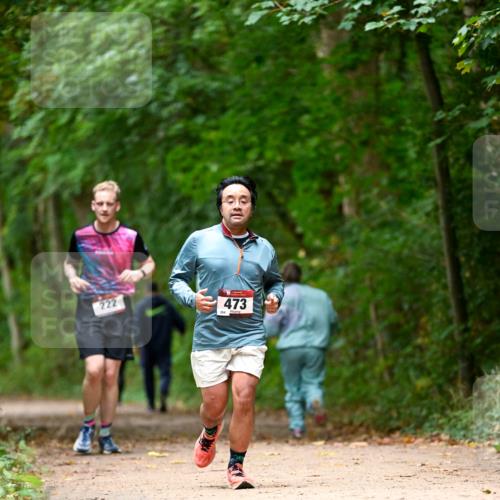 11.10.2026 - Bramfelder Halbmarathon 2026 Dr. Thomas Lammeyer http://msf.ph/oto/10826135 11.10.2026 10:53:38 Laufen 222, 473, 284 meine-sportfotos.de