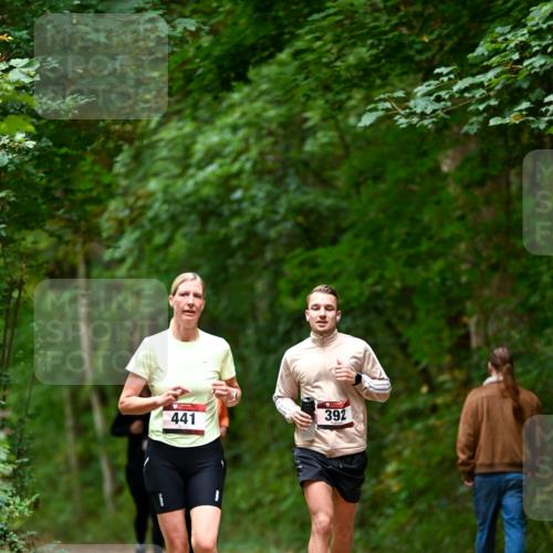 11.10.2026 - Bramfelder Halbmarathon 2026 Dr. Thomas Lammeyer http://msf.ph/oto/10826212 11.10.2026 10:54:09 Laufen 441, 392 meine-sportfotos.de