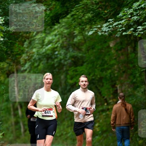 11.10.2026 - Bramfelder Halbmarathon 2026 Dr. Thomas Lammeyer http://msf.ph/oto/10826214 11.10.2026 10:54:10 Laufen 441 meine-sportfotos.de