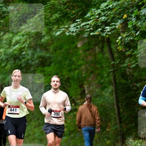 11.10.2026 - Bramfelder Halbmarathon 2026 Dr. Thomas Lammeyer http://msf.ph/oto/10826215 11.10.2026 10:54:10 Laufen 441, 392 meine-sportfotos.de