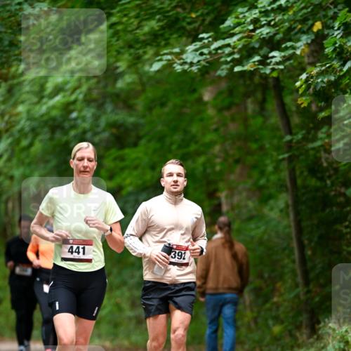 11.10.2026 - Bramfelder Halbmarathon 2026 Dr. Thomas Lammeyer http://msf.ph/oto/10826219 11.10.2026 10:54:11 Laufen 441, 391 meine-sportfotos.de