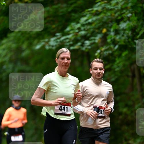 11.10.2026 - Bramfelder Halbmarathon 2026 Dr. Thomas Lammeyer http://msf.ph/oto/10826231 11.10.2026 10:54:12 Laufen 441, 91 meine-sportfotos.de