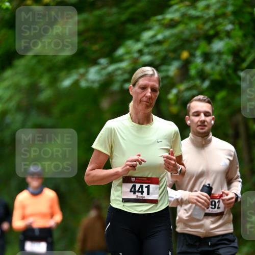 11.10.2026 - Bramfelder Halbmarathon 2026 Dr. Thomas Lammeyer http://msf.ph/oto/10826234 11.10.2026 10:54:13 Laufen 441, 92 meine-sportfotos.de