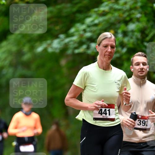 11.10.2026 - Bramfelder Halbmarathon 2026 Dr. Thomas Lammeyer http://msf.ph/oto/10826236 11.10.2026 10:54:13 Laufen 441, 391 meine-sportfotos.de
