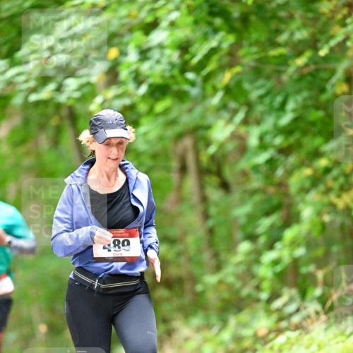 11.10.2026 - Bramfelder Halbmarathon 2026 Dr. Thomas Lammeyer http://msf.ph/oto/10826329 11.10.2026 10:55:08 Laufen 35, 89 meine-sportfotos.de