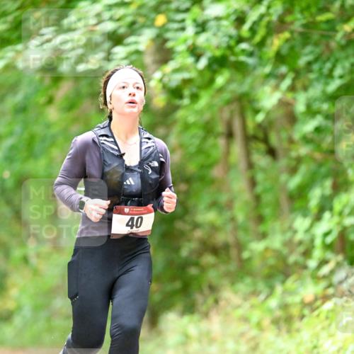 11.10.2026 - Bramfelder Halbmarathon 2026 Dr. Thomas Lammeyer http://msf.ph/oto/10826374 11.10.2026 10:55:27 Laufen 35, 40 meine-sportfotos.de