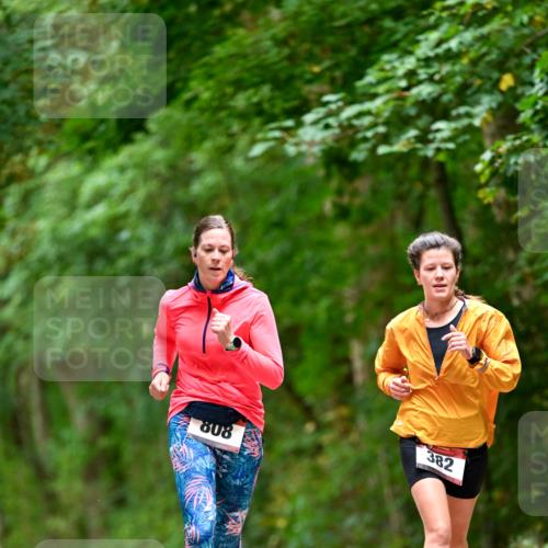 11.10.2026 - Bramfelder Halbmarathon 2026 Dr. Thomas Lammeyer http://msf.ph/oto/10826381 11.10.2026 10:55:32 Laufen 808, 382 meine-sportfotos.de