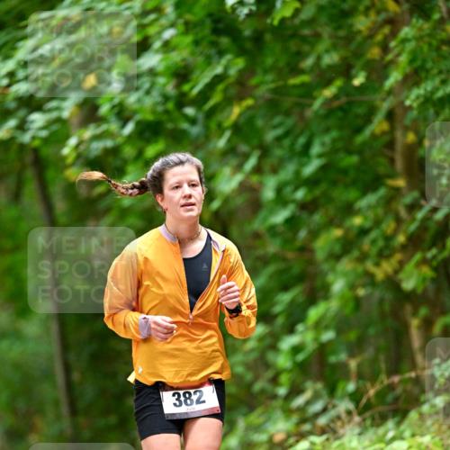 11.10.2026 - Bramfelder Halbmarathon 2026 Dr. Thomas Lammeyer http://msf.ph/oto/10826386 11.10.2026 10:55:33 Laufen 382 meine-sportfotos.de