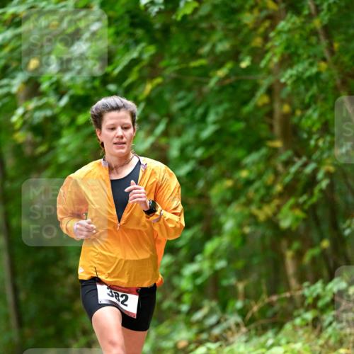 11.10.2026 - Bramfelder Halbmarathon 2026 Dr. Thomas Lammeyer http://msf.ph/oto/10826387 11.10.2026 10:55:33 Laufen 382 meine-sportfotos.de