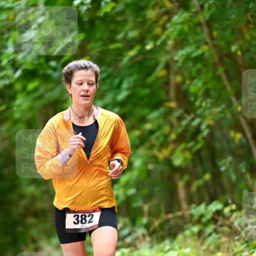 11.10.2026 - Bramfelder Halbmarathon 2026 Dr. Thomas Lammeyer http://msf.ph/oto/10826389 11.10.2026 10:55:33 Laufen 382 meine-sportfotos.de