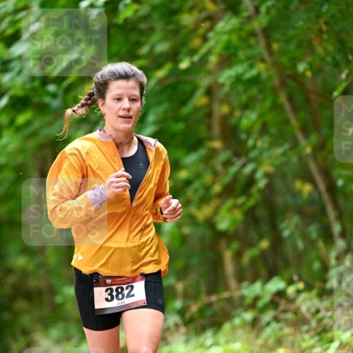 11.10.2026 - Bramfelder Halbmarathon 2026 Dr. Thomas Lammeyer http://msf.ph/oto/10826390 11.10.2026 10:55:34 Laufen 382 meine-sportfotos.de