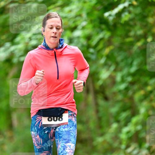11.10.2026 - Bramfelder Halbmarathon 2026 Dr. Thomas Lammeyer http://msf.ph/oto/10826393 11.10.2026 10:55:35 Laufen  meine-sportfotos.de