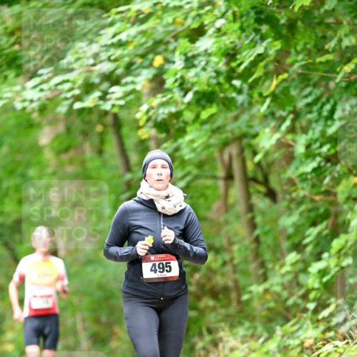 11.10.2026 - Bramfelder Halbmarathon 2026 Dr. Thomas Lammeyer http://msf.ph/oto/10826419 11.10.2026 10:55:54 Laufen 495 meine-sportfotos.de