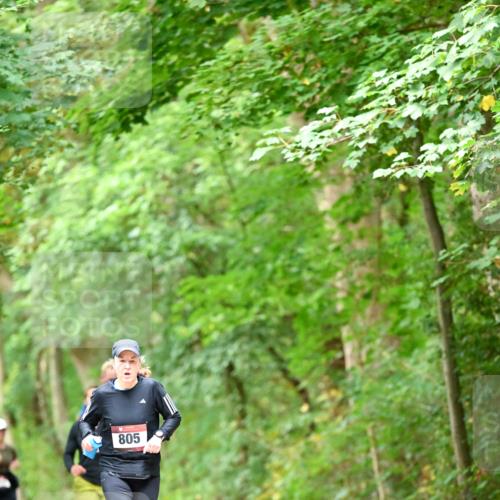 11.10.2026 - Bramfelder Halbmarathon 2026 Dr. Thomas Lammeyer http://msf.ph/oto/10826450 11.10.2026 10:56:20 Laufen 805 meine-sportfotos.de