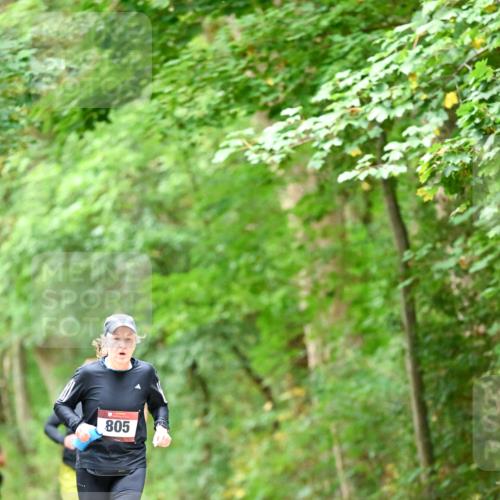 11.10.2026 - Bramfelder Halbmarathon 2026 Dr. Thomas Lammeyer http://msf.ph/oto/10826458 11.10.2026 10:56:21 Laufen 805 meine-sportfotos.de