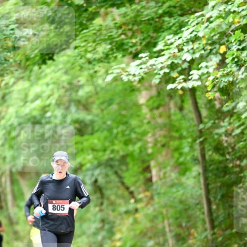 11.10.2026 - Bramfelder Halbmarathon 2026 Dr. Thomas Lammeyer http://msf.ph/oto/10826459 11.10.2026 10:56:22 Laufen 805 meine-sportfotos.de