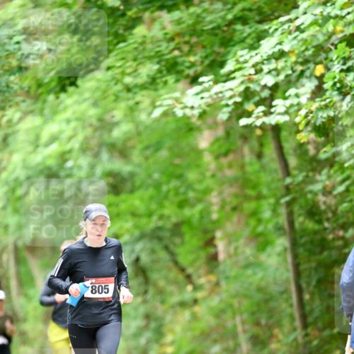 11.10.2026 - Bramfelder Halbmarathon 2026 Dr. Thomas Lammeyer http://msf.ph/oto/10826462 11.10.2026 10:56:22 Laufen 805 meine-sportfotos.de