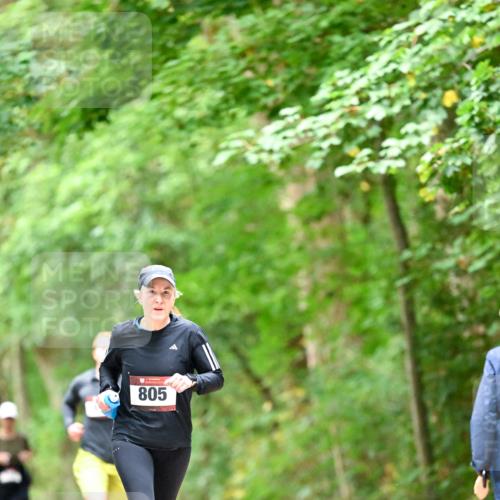 11.10.2026 - Bramfelder Halbmarathon 2026 Dr. Thomas Lammeyer http://msf.ph/oto/10826465 11.10.2026 10:56:22 Laufen 805 meine-sportfotos.de