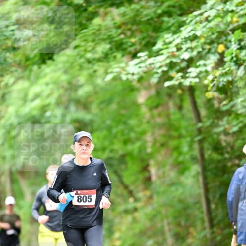 11.10.2026 - Bramfelder Halbmarathon 2026 Dr. Thomas Lammeyer http://msf.ph/oto/10826467 11.10.2026 10:56:23 Laufen 805 meine-sportfotos.de
