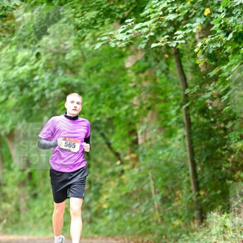 11.10.2026 - Bramfelder Halbmarathon 2026 Dr. Thomas Lammeyer http://msf.ph/oto/10826525 11.10.2026 10:56:59 Laufen 565 meine-sportfotos.de