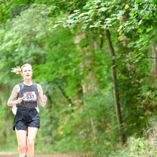 11.10.2026 - Bramfelder Halbmarathon 2026 Dr. Thomas Lammeyer http://msf.ph/oto/10826546 11.10.2026 10:57:17 Laufen 531 meine-sportfotos.de