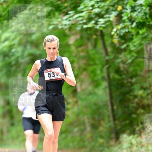 11.10.2026 - Bramfelder Halbmarathon 2026 Dr. Thomas Lammeyer http://msf.ph/oto/10826557 11.10.2026 10:57:18 Laufen 53 meine-sportfotos.de