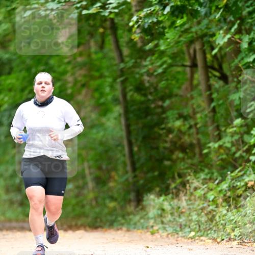 11.10.2026 - Bramfelder Halbmarathon 2026 Dr. Thomas Lammeyer http://msf.ph/oto/10826562 11.10.2026 10:57:21 Laufen  meine-sportfotos.de