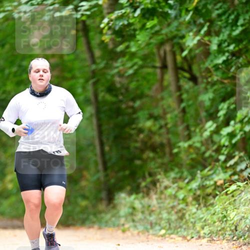 11.10.2026 - Bramfelder Halbmarathon 2026 Dr. Thomas Lammeyer http://msf.ph/oto/10826565 11.10.2026 10:57:22 Laufen  meine-sportfotos.de
