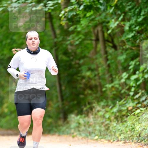 11.10.2026 - Bramfelder Halbmarathon 2026 Dr. Thomas Lammeyer http://msf.ph/oto/10826567 11.10.2026 10:57:22 Laufen  meine-sportfotos.de