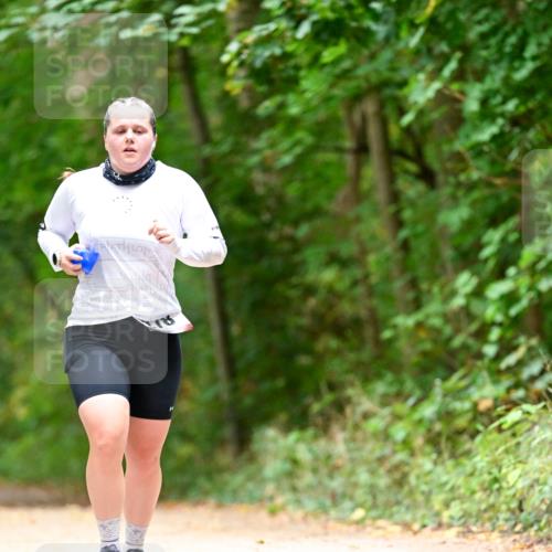 11.10.2026 - Bramfelder Halbmarathon 2026 Dr. Thomas Lammeyer http://msf.ph/oto/10826568 11.10.2026 10:57:22 Laufen  meine-sportfotos.de