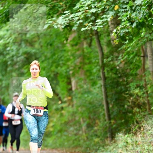 11.10.2026 - Bramfelder Halbmarathon 2026 Dr. Thomas Lammeyer http://msf.ph/oto/10826636 11.10.2026 10:57:53 Laufen 100 meine-sportfotos.de