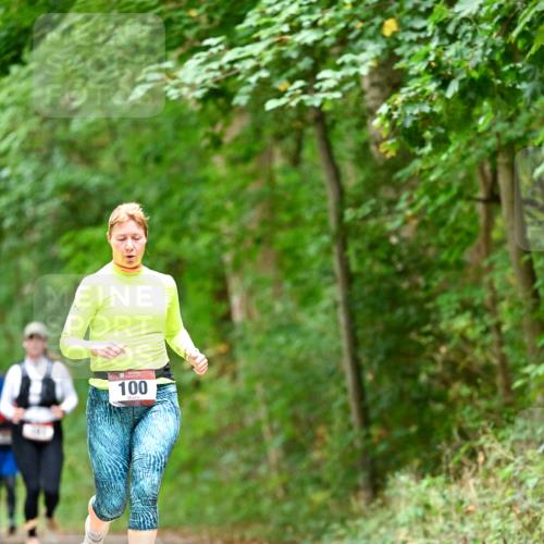 11.10.2026 - Bramfelder Halbmarathon 2026 Dr. Thomas Lammeyer http://msf.ph/oto/10826639 11.10.2026 10:57:53 Laufen 100 meine-sportfotos.de