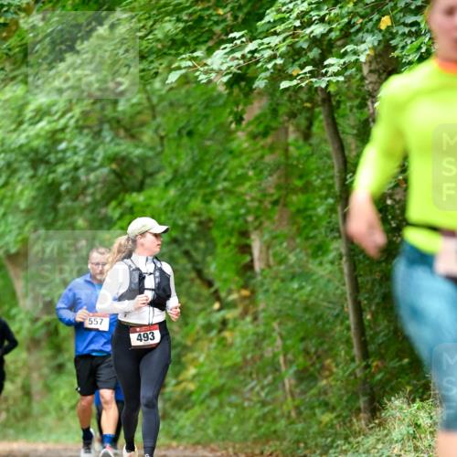11.10.2026 - Bramfelder Halbmarathon 2026 Dr. Thomas Lammeyer http://msf.ph/oto/10826651 11.10.2026 10:57:56 Laufen 557, 493 meine-sportfotos.de