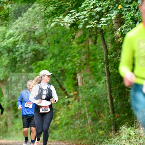 11.10.2026 - Bramfelder Halbmarathon 2026 Dr. Thomas Lammeyer http://msf.ph/oto/10826652 11.10.2026 10:57:56 Laufen 557, 493 meine-sportfotos.de